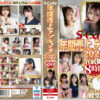 sqte00441pl