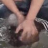 エロ動画情報 俺の宝箱 | NTR Reunion - 愛妻と最悪な元カレの狂気と嫌悪の浮気映像。三上悠亜【エロ動画 俺の宝箱】