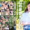 エロ動画情報 俺の宝箱 | 仲良し女子○校生限定 ドキドキ逆痴●チャレンジ！【新作エロ動画 ランキング】